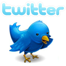 twitter logo pájaro por misterbackstage @raulgrx